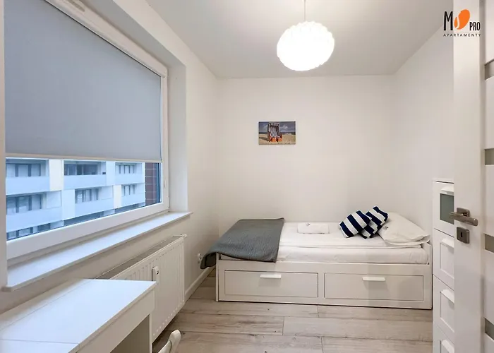 Comfort Kasprowicza *